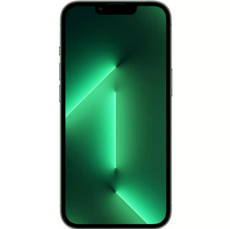Apple iPhone 13 PRO • 512GB • Alpingrün • (NO Simlock) + Quad Lock MAG™