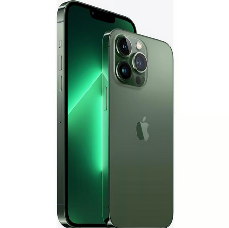 Apple iPhone 13 PRO • 512GB • Alpingrün • (NO Simlock) + Quad Lock MAG™