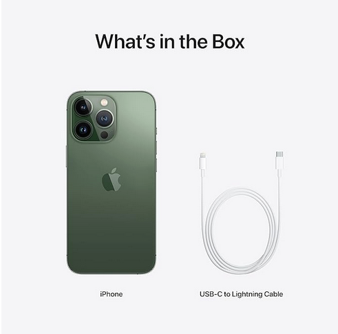 Apple iPhone 13 PRO • 512GB • Alpingrün • (NO Simlock) + Quad Lock MAG™