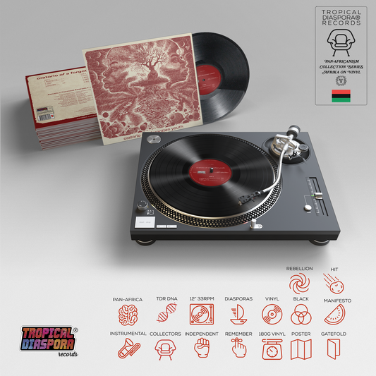 Oratorio Of A Forgotten Youth by Amandla Freedom Ensemble, Mandla Mlangeni • PRE-ORDER