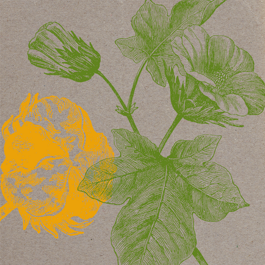 Bugiganga Tropical Vol.4 by Izzy Gordon, Carlos Casemiro, Renato Gama, Valerie and Ben Turner  • PRE-ORDER in production
