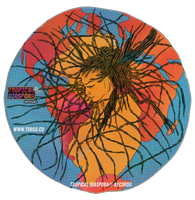 Vinyl SLIPMAT TD®R