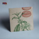 Bugiganga Tropical Vol.1 de Super Spanish Combo &amp; Banda Jardes